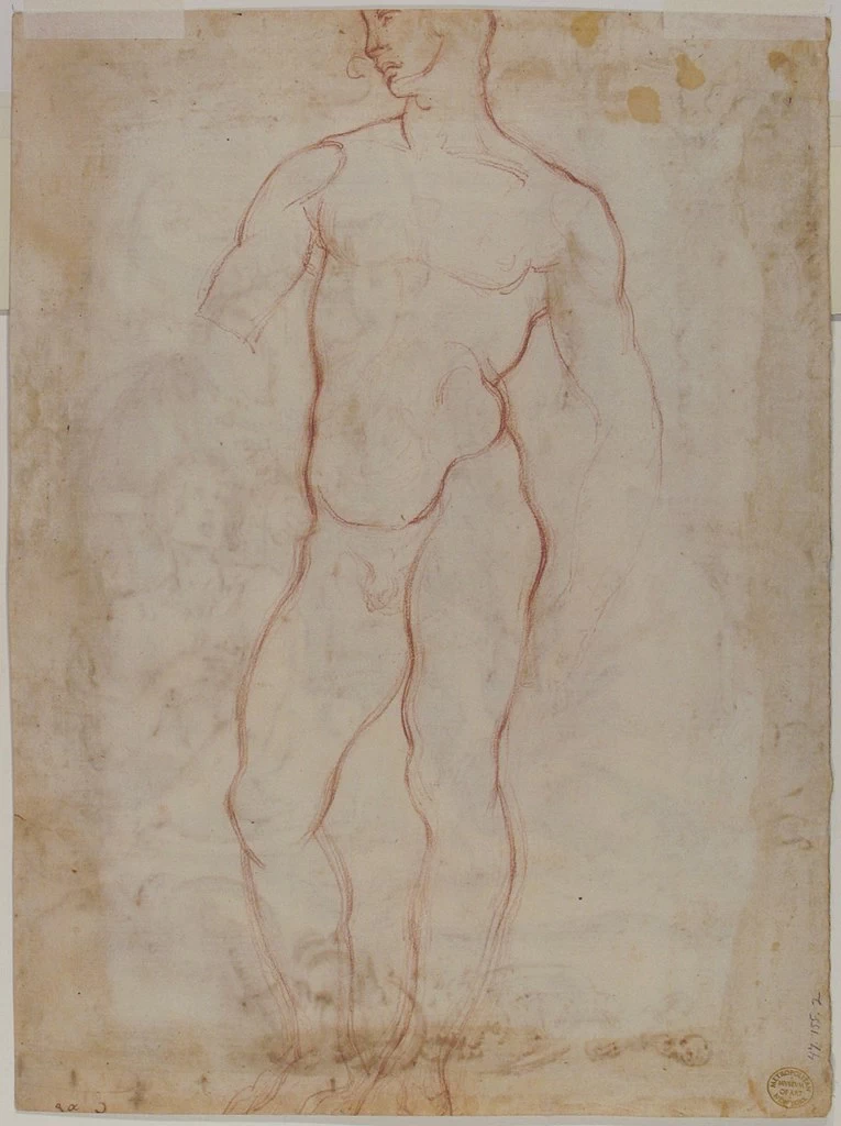 Studio di una figura maschile nuda - Metropolitan Museum of Art. New York